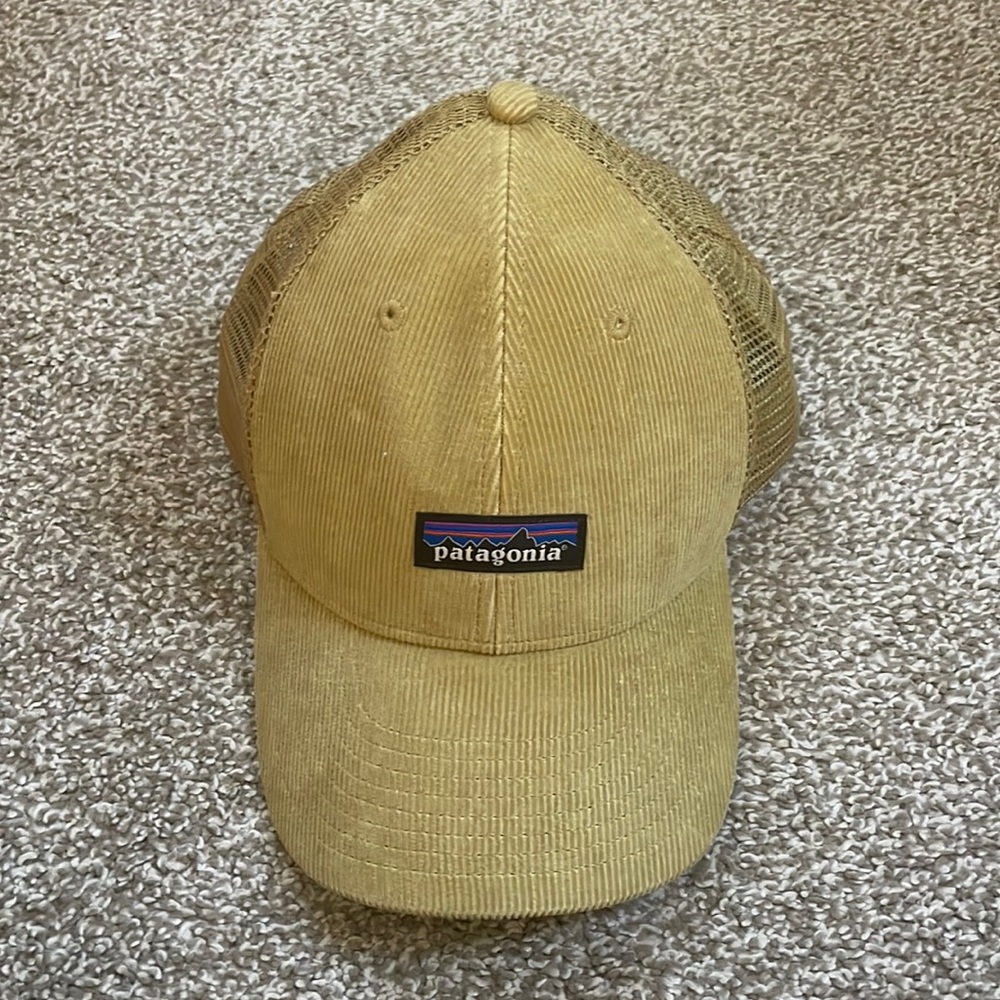 Patagonia Cap